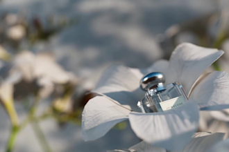 do 3d perfume animation 3d perfume bottle fragrance animation 3d perfume