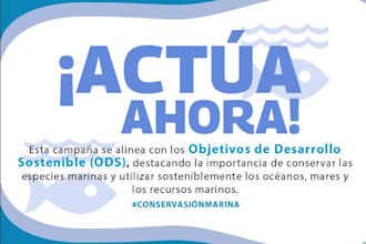 diseño de infografías, publicidad y post de todo tipo