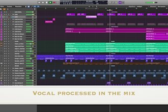 sublimate your voice by tuning, repairing editing  and mixing it