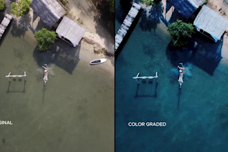 do professional color grading, color correction your videos