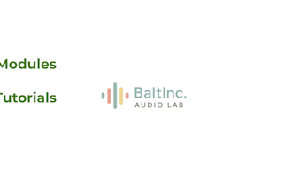 professionele nederlandse e learning ai voice over
