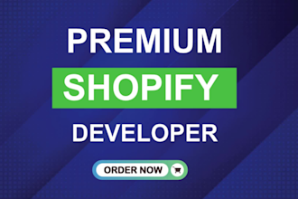 design redesign customization shopify store shopify website