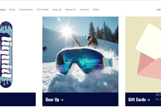 build a shopify website for your ecommerce buisness