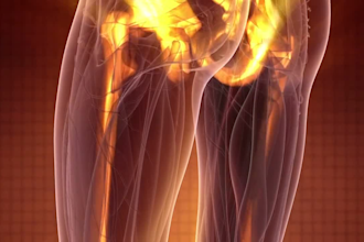 brief you nicely about saptadhatus, the seven body tissues