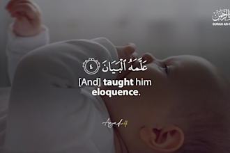 beautiful quran recitation videos and shorts