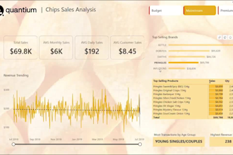 provide strategic bi solutions, custom dashboards, data analysis