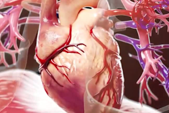 create stunning 3d animations for youtube, medical, game or promo