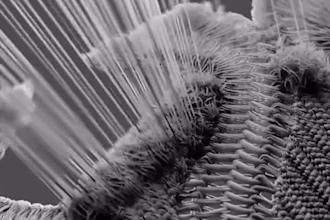 3d water 3d cloth simulation particle simulation vfx compositing fire simulation