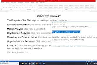 provide an executive summary template for your business plan
