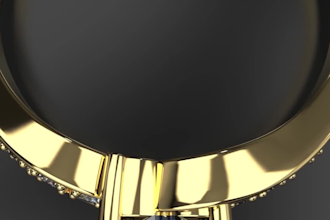 create a 3d model of your ring idea