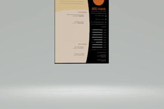 write expert resume and CV design services for job seekers
