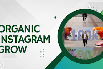 promote fast instagram organic growth to increase followers and engagement