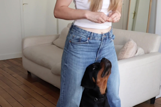 create ugc video for dog accessories for tik tok, reels, amazon