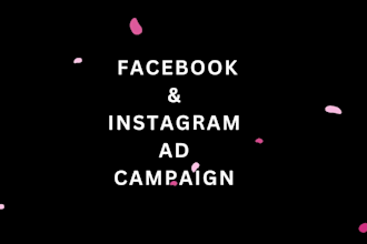 setup and manage facebook ads, conversion with fb pixel and meta ads campaign