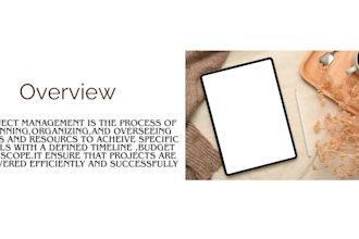 do your ecommerce project management with b2b model