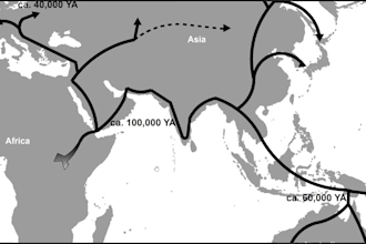 draw custom professional world maps  tailored for any project