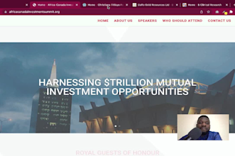 create a responsive wordpress website design or blog