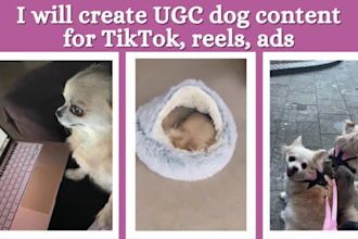 create ugc for you dog products or pet brand