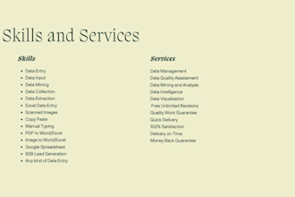 do data entry, copy paste, web scraping and excel data entry