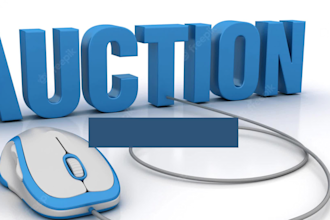 create wordpress auction bidding website, auction website, multivendor website