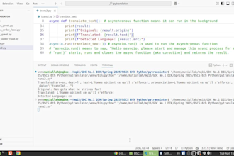 teach, tutor or help you coding python, beginner to advance