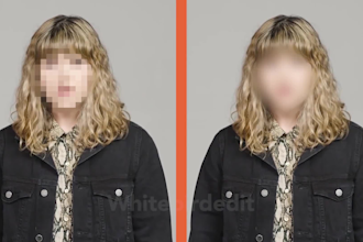 blur out videos, faces, objects, text or anything else