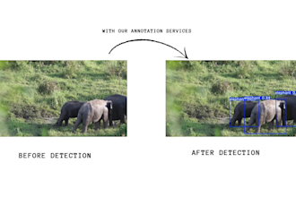 do image annotation of multiple classes, labelling of images