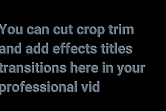 cut trim crop video audio professionally
