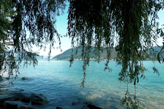 professionally make relaxing nature sounds
