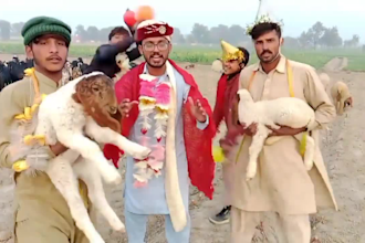 african happy birthday video african happy birthday video