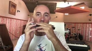 record pro expressive chromatic harmonica for your song