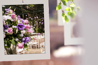 create a video incorporating your photos hanging beautifully from a tree