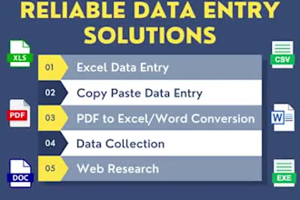do fast data entry, copy paste and PDF to excel work