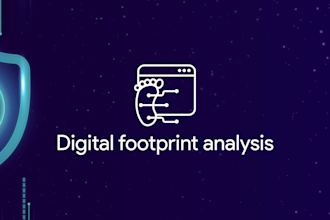 conduct professional osint investigation and digital footprint analyse
