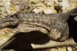 create 3d drogon model animal rigging animal model 3d creature 3d dinosaur model