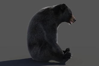 do 3d animal model,3d creature with xgen hair, realistic fur,3d animal animation