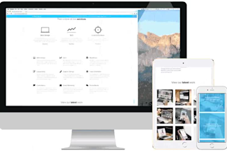 build, rebuild or modify your food delivery website for you