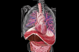 provide pro 3d medical animation and illustration and anatomy