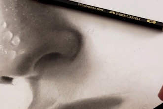 draw realistic pencil sketches any kind of portraits