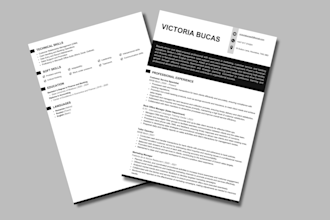 write your engineering, tech, ats resume, and executive CV