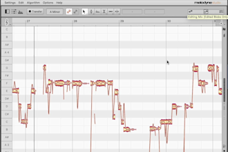 professionally tune and pitch correct your vocals