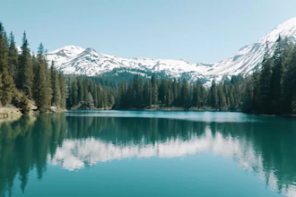 create 1000 full HD stock video copyright free for relaxing and meditation video