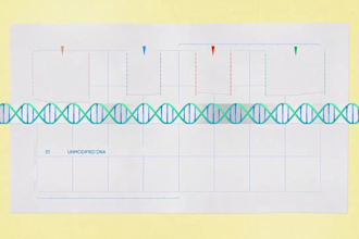 create explainer video, 2d, 3d explainer animation, whiteboard video