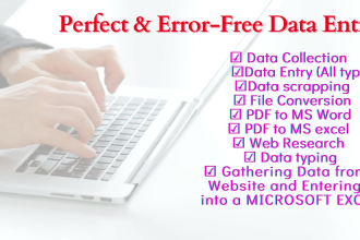 do perfect data entry,  web search copy paste, convert PDF