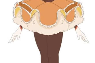 create a high quality live2d vtuber model