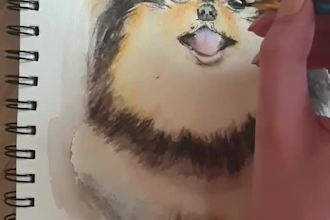 make watercolor animal paintings