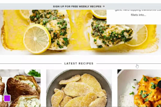 design and revamp your wordpress website