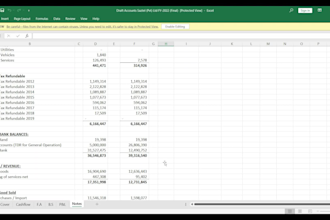 provide bookkeeping and accounting services for your business