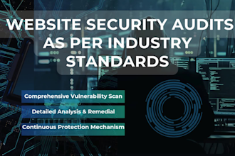 perform website security audits as per industry standards