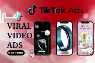 setup and manage tiktok ads campaign, tiktok video ads campaign, and tiktok ads